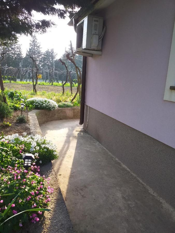 Istra Apartment Koper Exterior photo